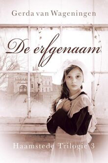 De erfgenaam - eBook Gerda van Wageningen (9401902968)