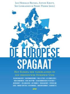 De Europese Spagaat - Boek Jan Herman Brinks (9463381961)