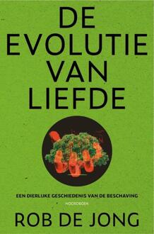 De Evolutie Van Liefde - Rob de Jong