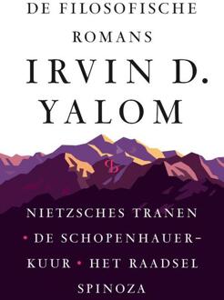 De filosofische romans -  Irvin D. Yalom (ISBN: 9789463824064)
