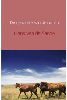De geboorte van de roman - Boek Hans Van de Sande (9402152709)