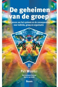 De geheimen van de groep - Boek Piet Weisfelt (9024408717)