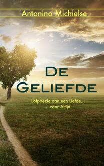 De geliefde - Boek Antonino Michielse (9402148469)