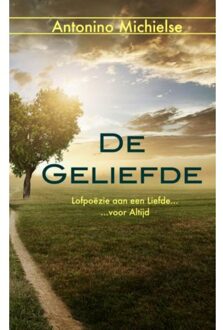 De geliefde - Boek Antonino Michielse (9402148469)