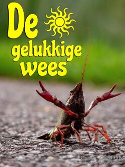De gelukkige wees - Geertje Geerlings - ebook