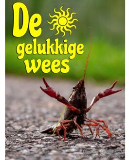 De Gelukkige Wees - Geertje Geerlings