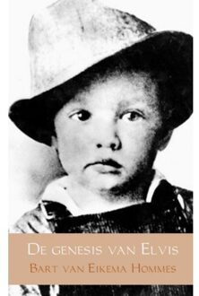 De genesis van Elvis - Boek Bart van Eikema Hommes (9402151001)