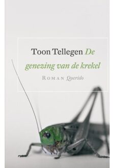 De genezing van de krekel - Boek Toon Tellegen (902143850X)