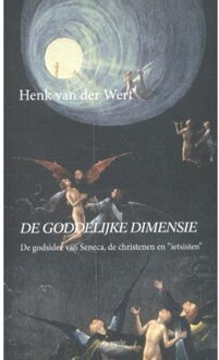 De Goddelijke dimensie - Boek Henk van der Werf (9461538111)