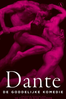 De goddelijke komedie -  Dante Alighieri (ISBN: 9789025321055)