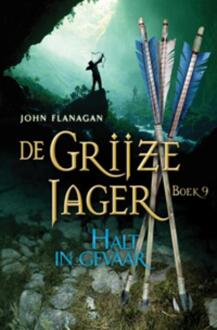 De grijze jager 9 - Halt in gevaar - Boek John Flanagan (9025748171)