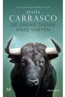 De grond onder onze voeten - Boek Jesús Carrasco (9029092289)