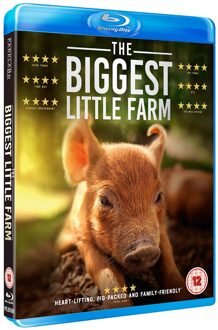 De Grootste Kleine Boerderij