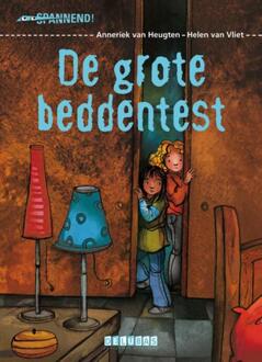 De grote beddentest - Boek Anneriek van Heugten (9053003681)