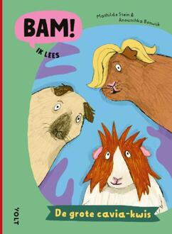 De grote cavia-kwis -  Mathilde Stein (ISBN: 9789062223398)