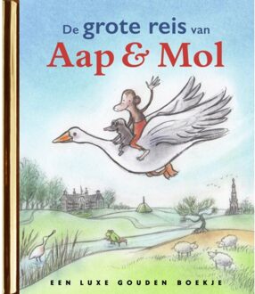 De Grote Reis Van Aap En Mol - Gitte Spee