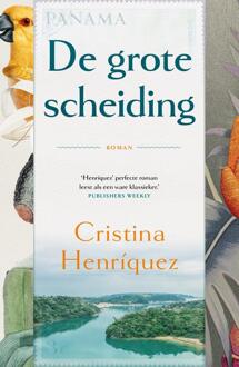 De grote scheiding -  Cristina Henriquez (ISBN: 9789044937176)