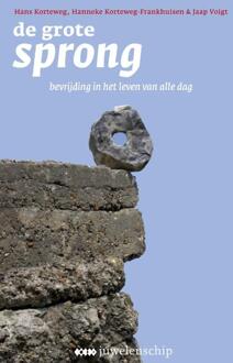 De grote sprong - Boek Hans Korteweg (9021546639)