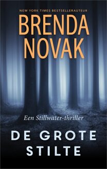 De grote stilte - eBook Brenda Novak (940275623X)