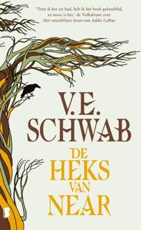 De heks van Near -  V.E. Schwab (ISBN: 9789049206123)