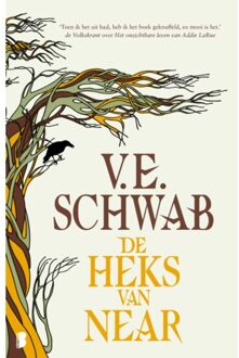 De Heks Van Near - V.E. Schwab