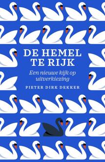 De hemel te rijk -  Pieter Dirk Dekker (ISBN: 9789043538992)
