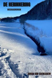 De herinnering -  Johan van Caeneghem (ISBN: 9789465121932)
