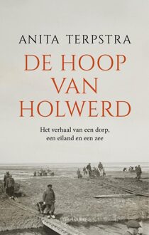 De hoop van Holwerd - Anita Terpstra - ebook