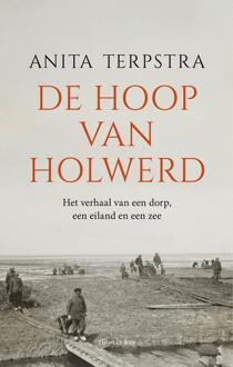 De hoop van Holwerd -  Anita Terpstra (ISBN: 9789400412705)