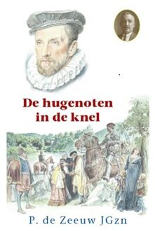 De hugenoten in de knel - Boek P. de Zeeuw JGZn (9461151144)