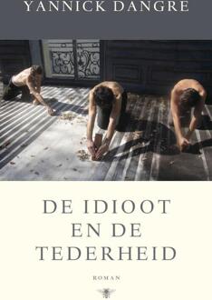 De idioot en de tederheid - Boek Yannick Dangre (9023496442)