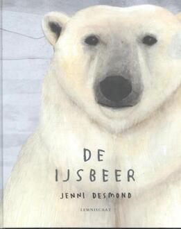 De ijsbeer - Boek Jenni Desmond (9047703146)