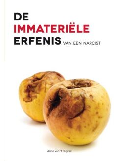 De immateriele erfenis van een narcist - Boek Anne van 't Duycke (9462036225)