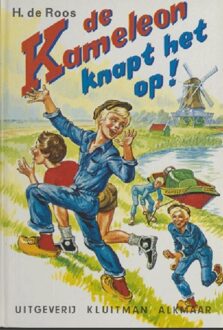 De Kameleon knapt het op! - eBook H de Roos (9020642332)