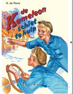 De Kameleon schiet te hulp - Boek Hotze de Roos (9020633201)