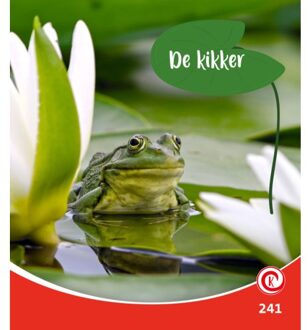 De Kikker - Kijkdoos - Minke van Dam