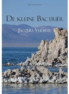 De kleine Bactrier - Boek Jacques Verbeek (9048431891)