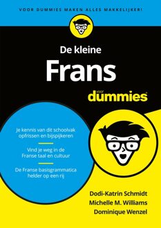 De kleine Frans voor Dummies - eBook Dodi-Katrin Schmidt (9045355094)