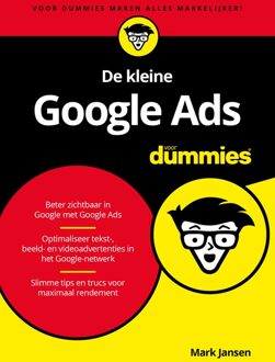 De kleine Google Ads voor Dummies