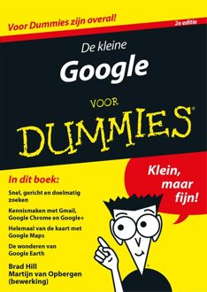 De kleine Google voor Dummies - eBook Brad Hill (9045352192)