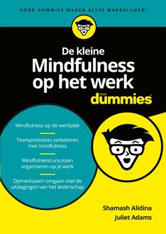 De kleine mindfulness op het werk voor dummies - eBook Shamash Alidina (9045354373)