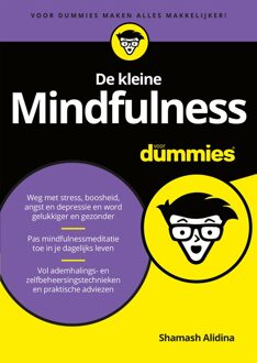 De kleine Mindfulness voor Dummies - eBook Shamash Alidina (9045355167)