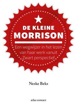 De kleine Morrison - Neske Beks - ebook