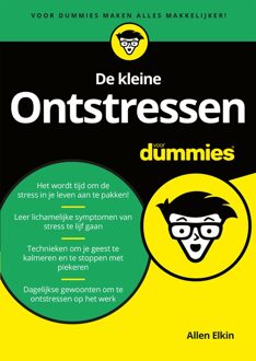 De kleine ontstressen voor dummies - eBook Allen Elkin (9045354136)