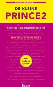 De kleine Prince 2 - eBook Mark van Onna (9461278365)