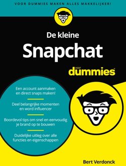 De kleine Snapchat voor Dummies