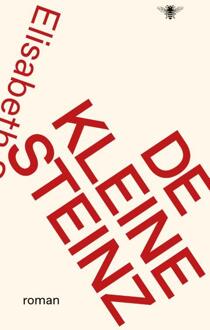De kleine Steinz -  Elisabeth Steinz (ISBN: 9789403134048)