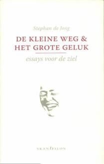 De kleine weg en het grote geluk - Boek Stephan de Jong (9490708259)