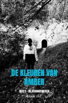 De Kleuren Van Amber - Bram Vae