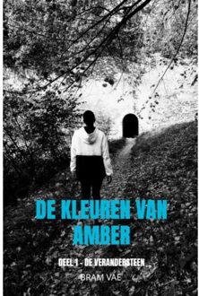 De Kleuren Van Amber - Bram Vae